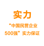 程力集團實力——“中國民營企業500強”實力保證